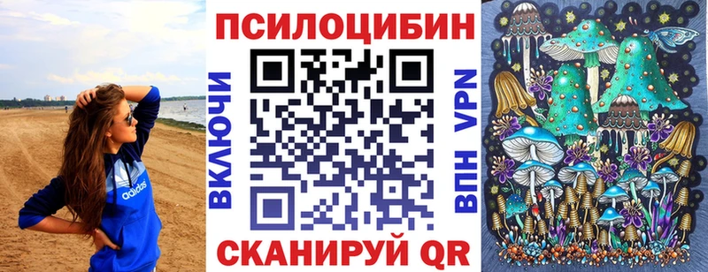 ссылка на мегу tor  Домодедово  Псилоцибиновые грибы Magic Shrooms 